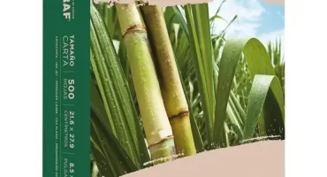 Resma de papel carta Ecológico Natural Imprinco